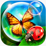 App Bugs and Bubbles